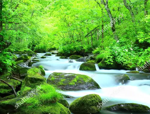 こだわりの水